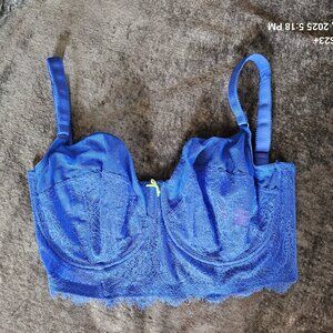 Cleo by Panache Piper longline bra 34H GORGEOUS Blue NWOT